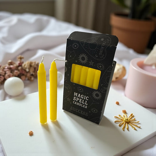 Bougie de rituel Réussite MAGIC SPELL CANDLES 12 bougies
