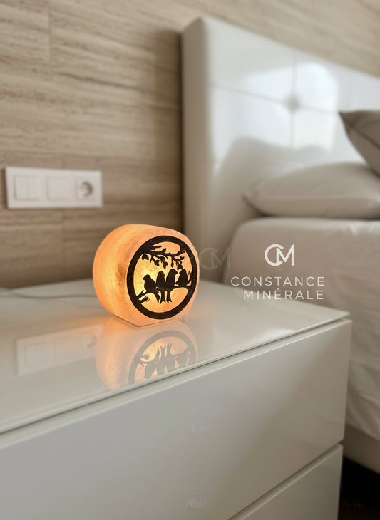 Lampe de Sel Petit Modèle Motif Oiseaux sur Branche