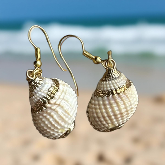 Boucles d’oreilles en cauris naturels