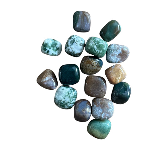 Pierre roulée Agathe mousse