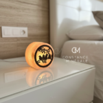 Petite lampe de Sel Oiseaux