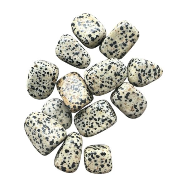 Pierre roulée Jaspe Dalmatien