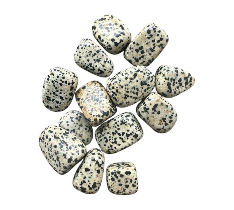 Pierre roulée Jaspe Dalmatien